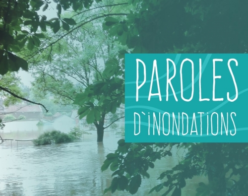 Capture d’écran 2026-03-08 084656.jpg